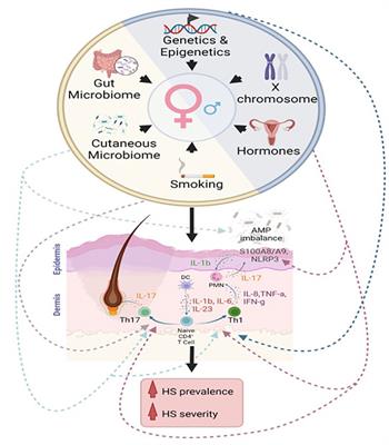Sex-biased immunological processes drive hidradenitis suppurativa